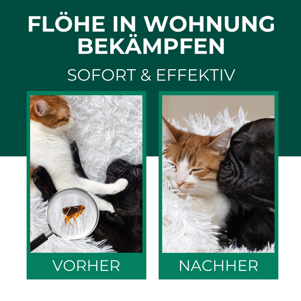 Silberkraft Flohspray für Umgebung 500ml, effektives Flohmittel gegen Flöhe, Zecken & Milben,  Flohspray für Wohnung und Möbel, ideal für Textilien, Hundebetten, Teppiche & Polster