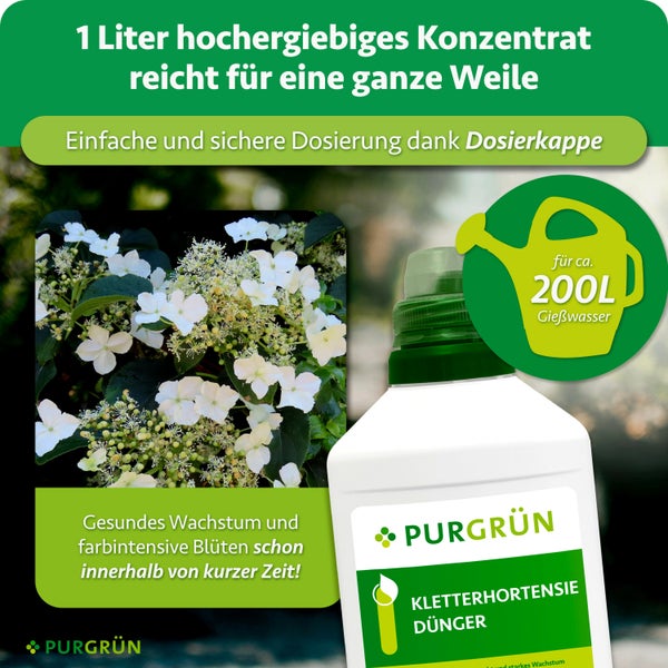 Purgrün Kletterhortensien Dünger Konzentrat in der 1 Liter Flasche mit Dosierkappe für 200 Liter Gießwasser für kräftiges Pflanzenwachstum.