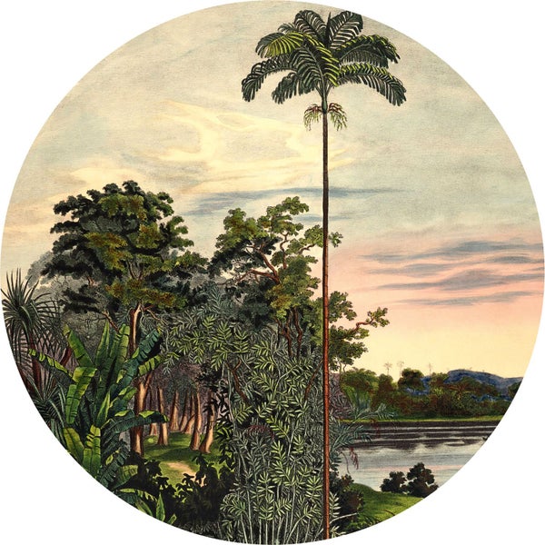 Illustration einer Landschaft mit Bäumen und Gewässern