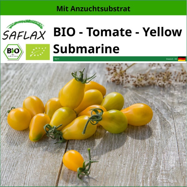 SAFLAX  - BIO - Tomate - Yellow Submarine - Solanum lycopersicum - 10 Samen - Mit keimfreiem Anzuchtsubstrat