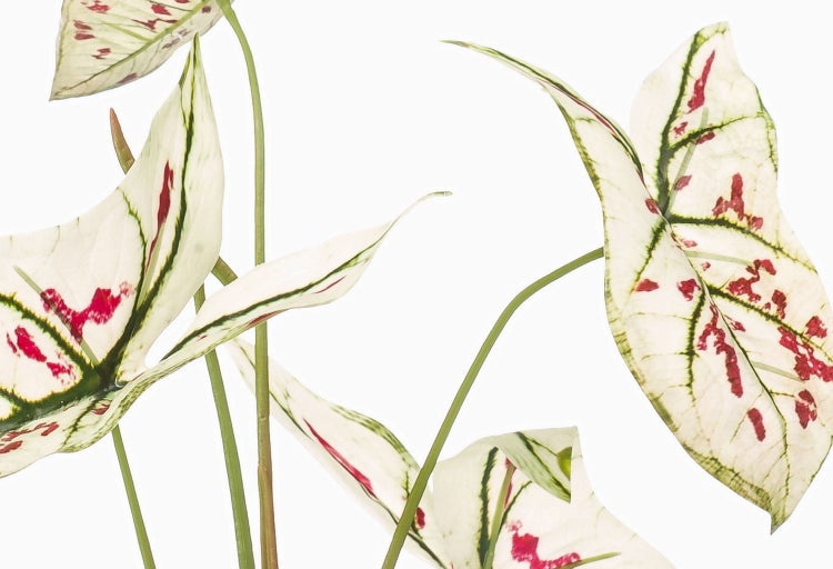 Künstliche Rosenknospe mit dornigem Stiel und grünen Blättern.