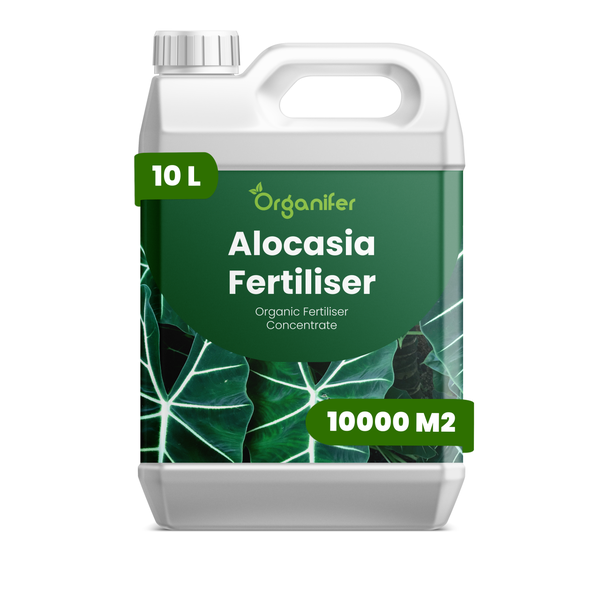 Organifer Alocasia Dünger, 10 Liter organisches Düngerkonzentrat für 10.000 Quadratmeter.