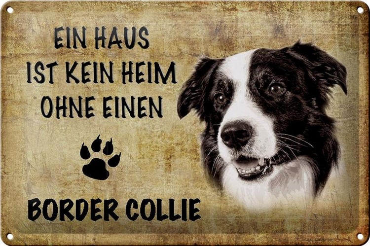 Blechschild Spruch 30x20cm Border Collie Hund ohne kein Heim