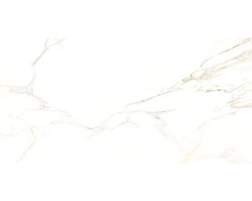 Wand- und Bodenfliese Cava lusso 60x120 cm