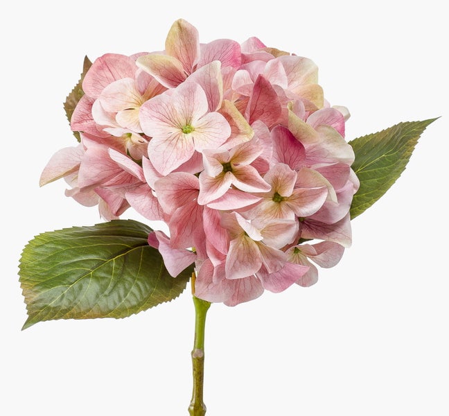 Künstliche Hortensie mit rosa Blüten und grünen Blättern an einem Stiel