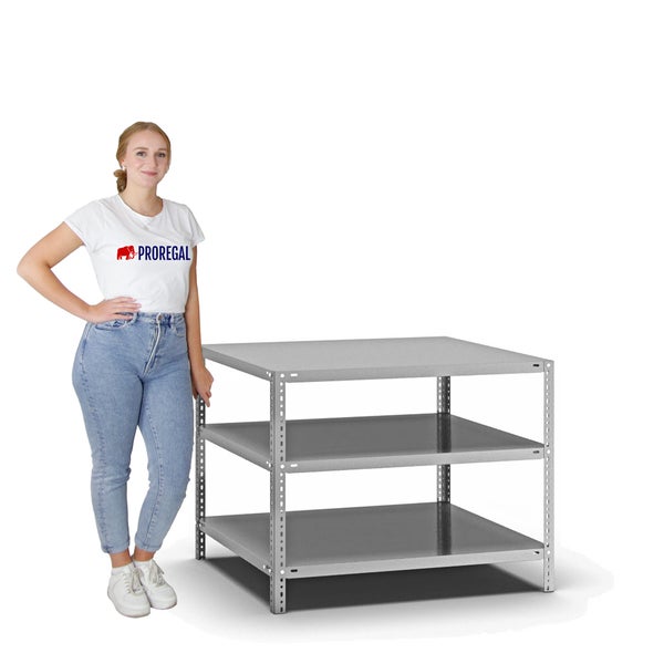 PROREGAL Fachbodenregal Schraubsystem Heavy-Duty Grundregal HxBxT 80 x 100 x 80 cm 3 Ebenen Fachlast 350 kg Beidseitig Nutzbar Verzinkt