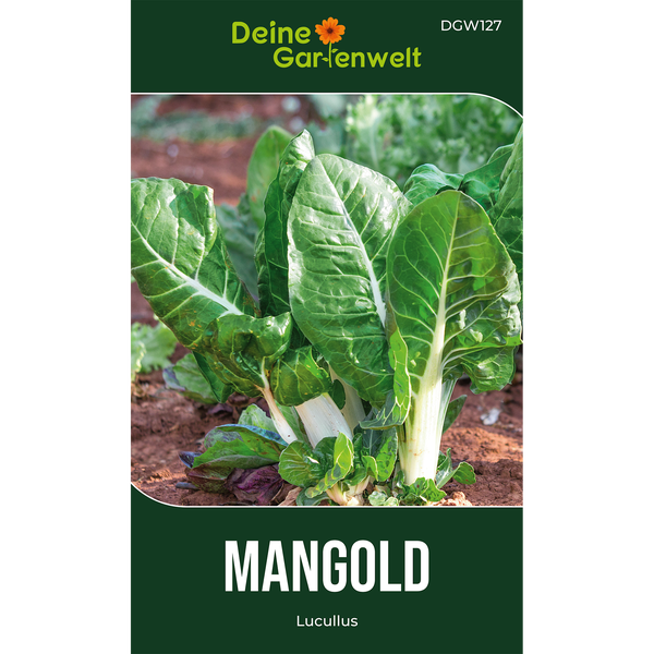Samen für Mangold Lucullus von Deine Gartenwelt Logo, wachsende Pflanze mit grünen Blättern und weißen Stielen in Erde.