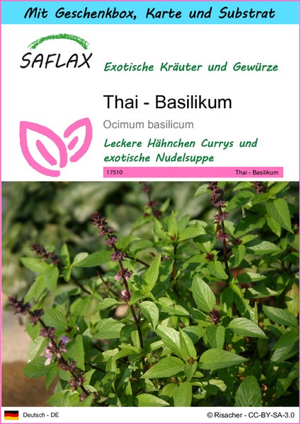 SAFLAX Geschenk Set - Thai - Basilikum - Ocimum basilicum - 200 Samen - Mit Geschenkbox, Versandaufkleber, Geschenkkarte und Anzuchtsubstrat