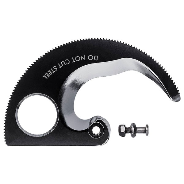 Blüte einer Teepflanze mit Blättern