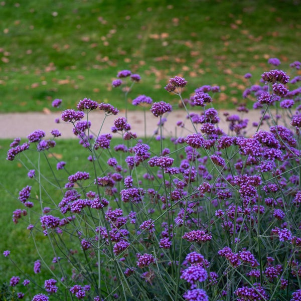 Modernes Badezimmer mit Dusche, Duschwanne und Armaturen vor einem Fenster mit Meerblick