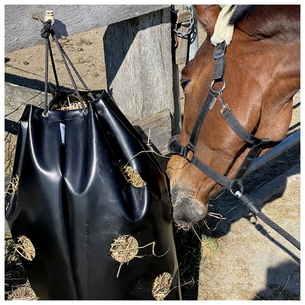 Pferd frisst Heu aus einer schwarzen Heutasche mit Löchern
