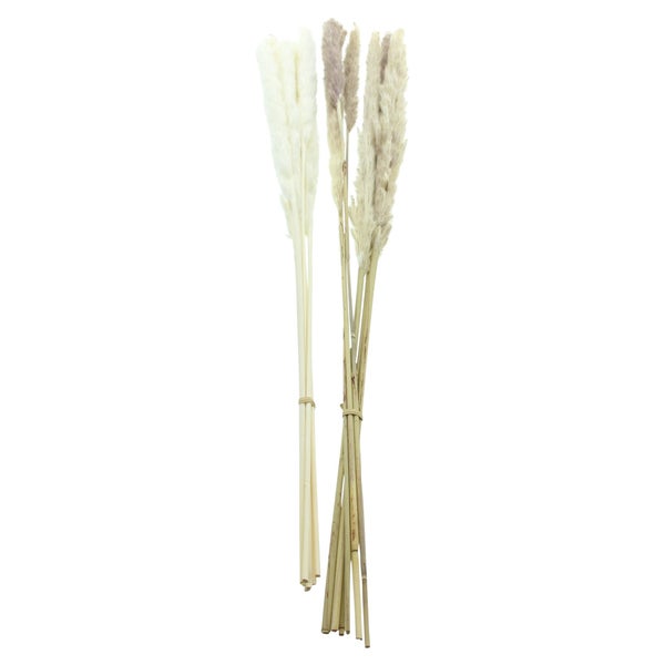 FRANK FLECHTWAREN | Pflanze Schilfgras, 2er Set, SCHILF, SCHILF, L: 70 cm