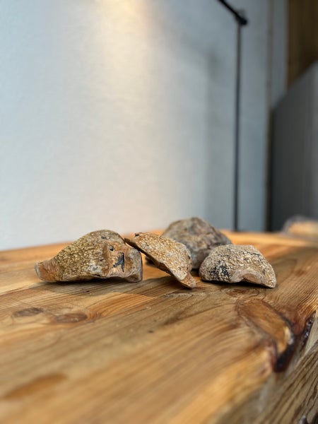 Vier natürliche dekorative Holzstücke mit grober, noppiger Oberflächenstruktur auf einer Holzoberfläche.