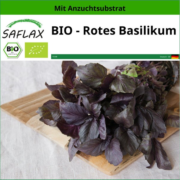 SAFLAX  - BIO - Rotes Basilikum - Ocimum basilicum - 400 Samen - Mit keimfreiem Anzuchtsubstrat