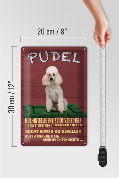 Blechschild Spruch 20x30cm Pudel hochintelligent lieb Hund