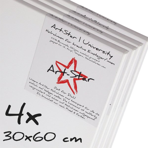 Leinwand  University 4er Set  60x30 cm (LxB) vorgrundiert, malfertig bespannt weiß
