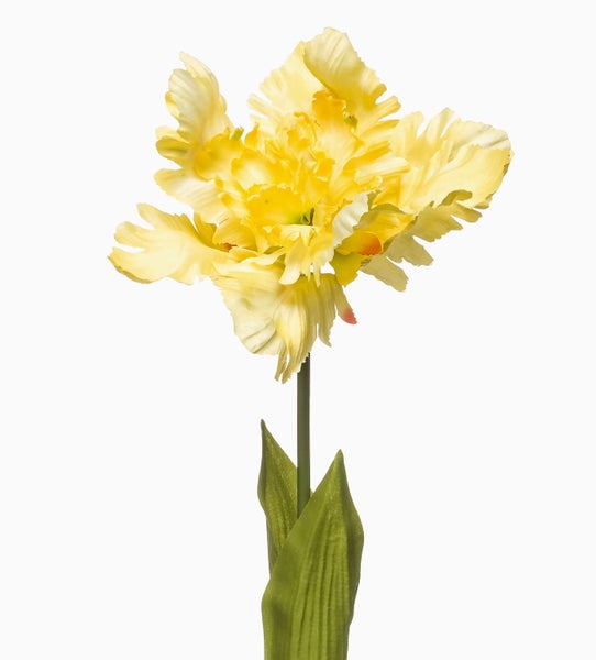 Künstliche Papageien-Tulpe in Gelb mit grünem Stiel und Blättern für die Dekoration.