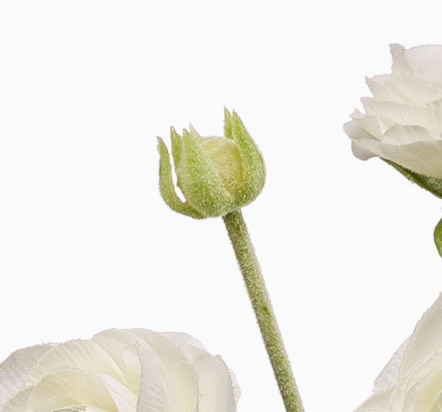 Nahaufnahme einer künstlichen Ranunkel mit weißer Blüte und grüner Knospe.