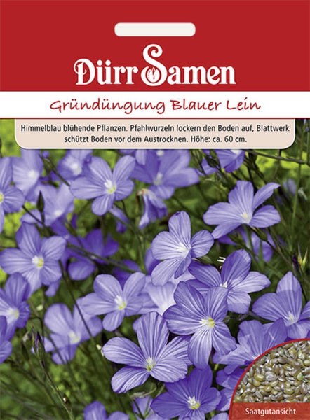 Dürr Samen Saatgutpackung für Gründüngung Blauer Lein mit blauen Blüten und einer Detailansicht der Samen. Pflanzenhöhe circa 60 Zentimeter.