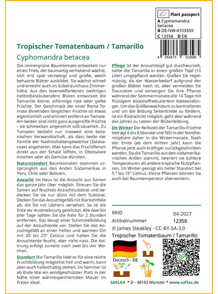 SAFLAX Geschenk Set - Tropischer Tomatenbaum / Tamarillo - Cyphomandra betacea - 50 Samen - Mit Geschenkbox, Versandaufkleber, Geschenkkarte und Anzuchtsubstrat