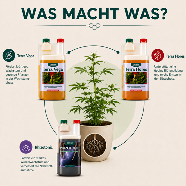 Canna Pflanzennährstoff Set bestehend aus Terra Vega, Terra Flores und Rhizotonic Düngerflaschen.
