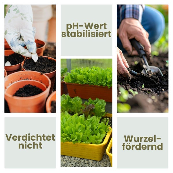 Collage zum Thema Gartenarbeit mit Informationen zu pH-Wert, Verdichtung und Wurzelwachstum