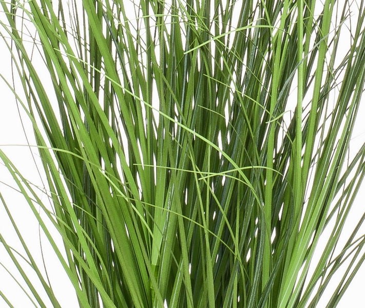 Zimmerfarn in einem runden goldfarbenen Dekotopf