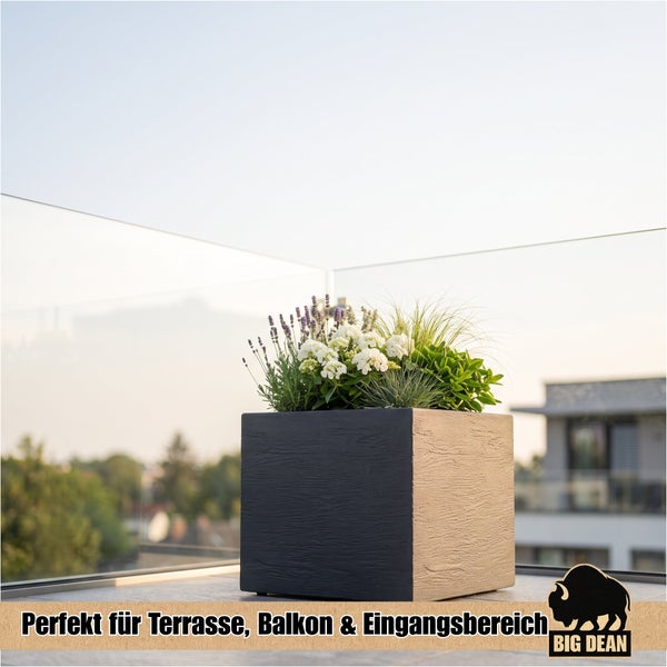 Quadratischer Pflanzkübel mit Struktur auf einer Terrasse mit Glasgeländer und bepflanzt mit Lavendel und weißen Blumen, Big Dean Logo