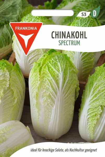 Chinakohl Spectrum Samen von Frankonia