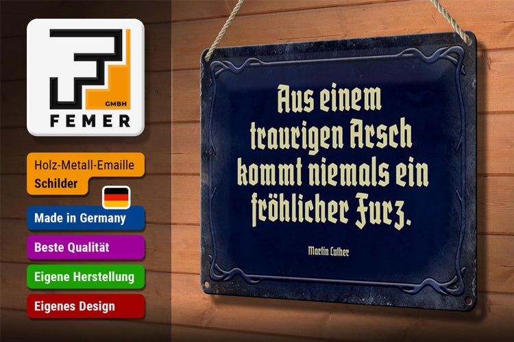 Blechschild Spruch 30x20cm aus einem traurigen Arsch kommt