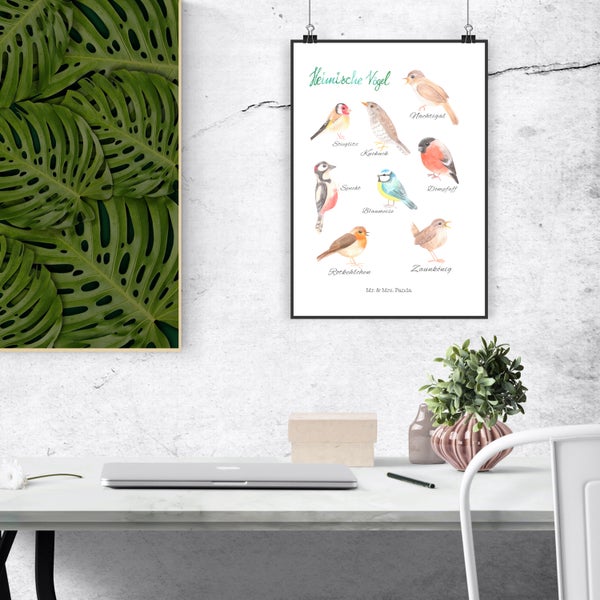 Mr. & Mrs. Panda DIN A3 Poster Heimische Vögel