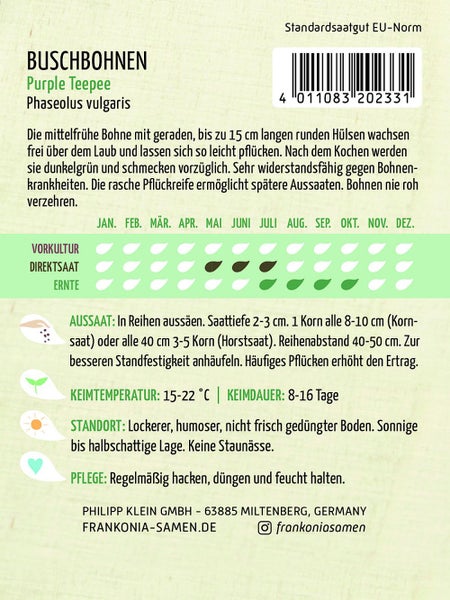 Samenpackung Buschbohnen Purple Teepee