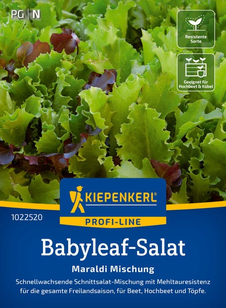 Kiepenkerl Profi Line Babyleaf Salat Maraldi Mischung Samen für schnellen Anbau im Beet, Hochbeet und Kübel mit Mehltauresistenz.