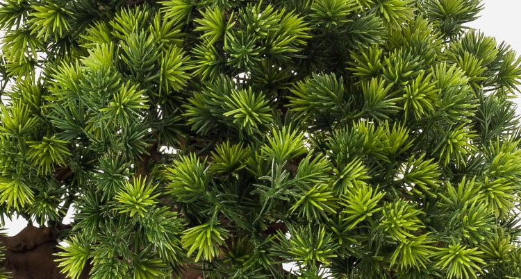 Nahaufnahme von dichten grünen künstlichen Tannennadeln einer Kunstpflanze.