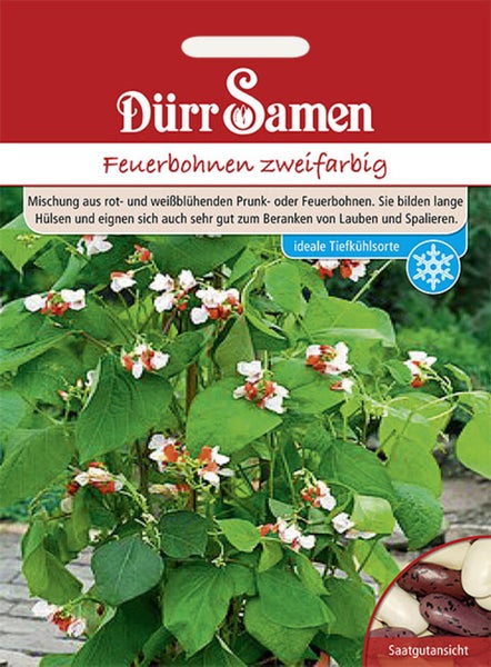 Samenpackung Dürr Samen Feuerbohnen zweifarbig mit Foto der blühenden Kletterpflanze, Saatgutansicht und Symbol für Tiefkühleignung.