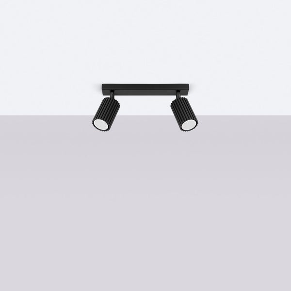 Deckenleuchte mit zwei Strahlern