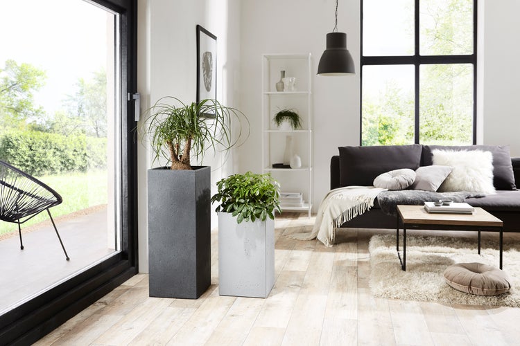 Scheurich C-Cube High 48, Hochgefäß/Blumentopf/Pflanzkübel, quadratisch,  aus Kunststoff Farbe: Stony Grey, 28 cm Durchmesser, 47,7 cm hoch, 11 l Vol.