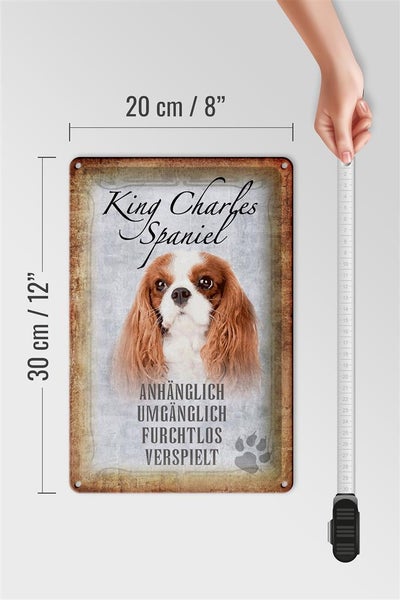 Blechschild Spruch 20x30cm King Charles Spaniel Hund