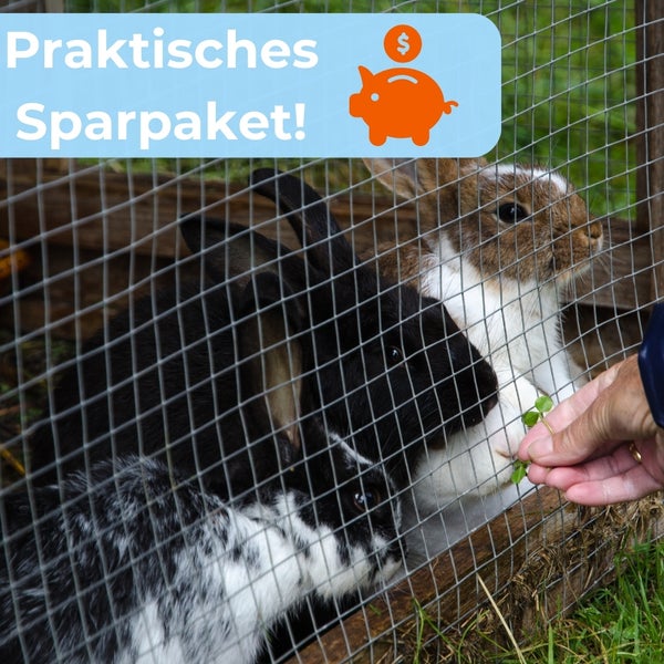 Sparpaket für Kaninchenzubehör: Kaninchen werden durch einen Zaun gefüttert.