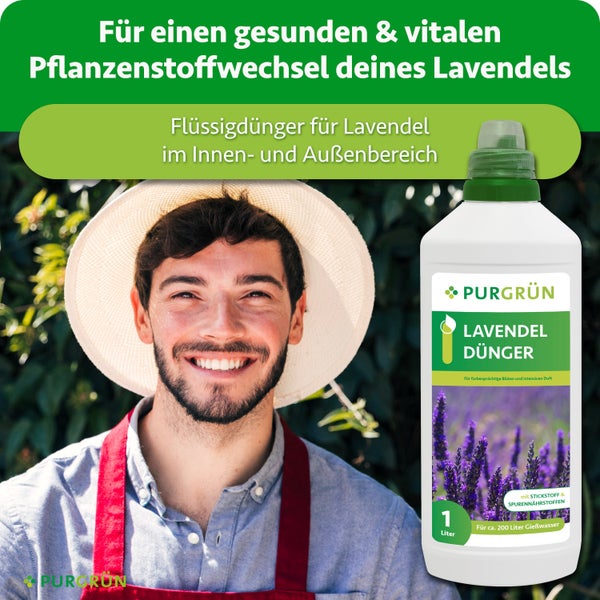 Purgrün Lavendeldünger Flüssigdünger 1 Liter für gesunde Pflanzen im Innenbereich und Außenbereich.