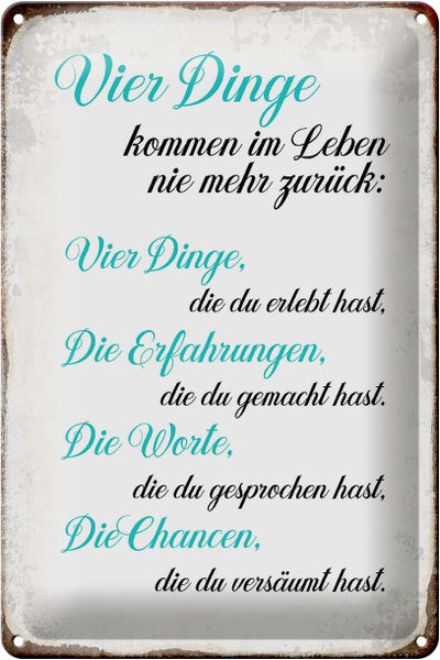 Blechschild Spruch 20x30cm 4 Dinge kommen nie mehr zurück