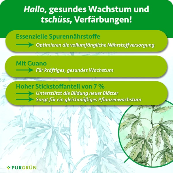 Infografik mit Vorteilen von Purgrün Pflanzendünger mit Guano, essenziellen Spurennährstoffen und 7 Prozent Stickstoff für gesundes Pflanzenwachstum.
