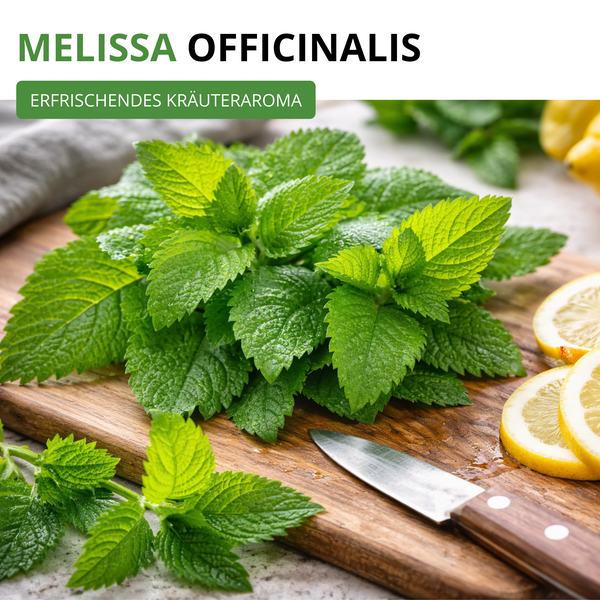 Frische Zitronenmelisse (Melissa officinalis) auf einem Holzbrett neben Zitronenscheiben und einem Küchenmesser.
