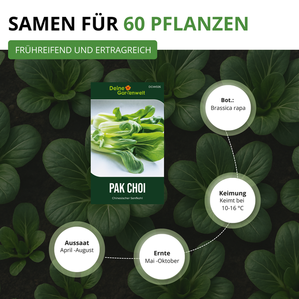 Samen für 60 Pak Choi Pflanzen von Deine Gartenwelt Logo. Aussaat April bis August, Ernte Mai bis Oktober, Keimung bei 10 bis 16 Grad.