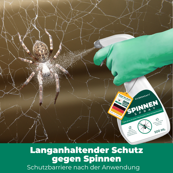 Silberkraft Spinnenspray im Einsatz gegen eine Spinne im Netz