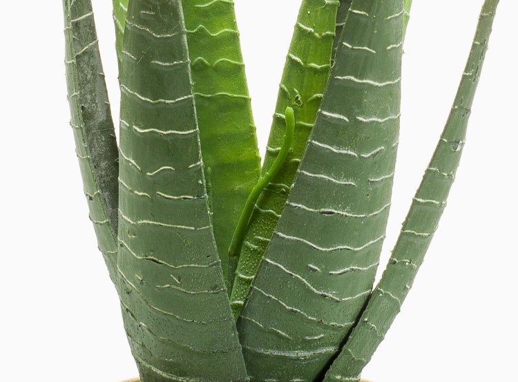 Detailansicht einer künstlichen Sansevieria Pflanze mit strukturierten grünen Blättern und hellen Querstreifen.