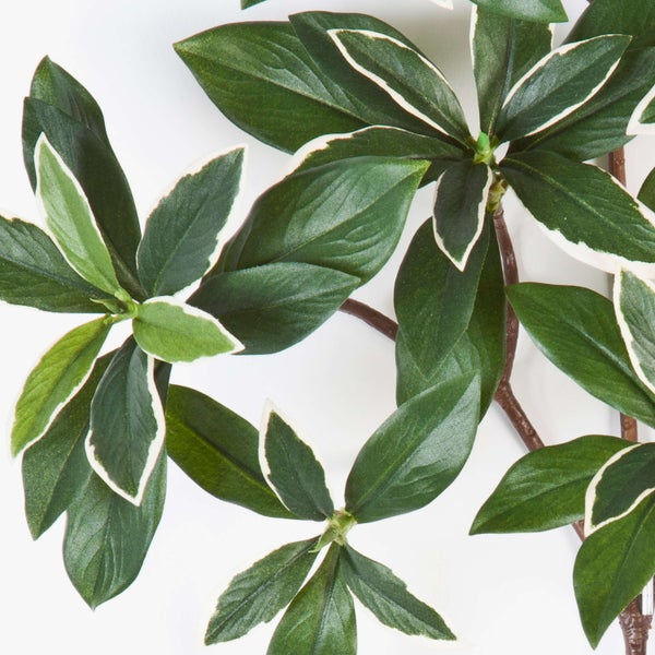 Künstlicher Pflanzenzweig mit grünen Blättern und weißem Rand.