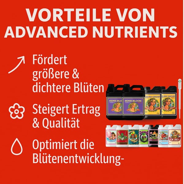 Vorteile von Advanced Nutrients Dünger zur Förderung großer Blüten, Steigerung von Ertrag und Qualität sowie Optimierung der Blütenentwicklung.