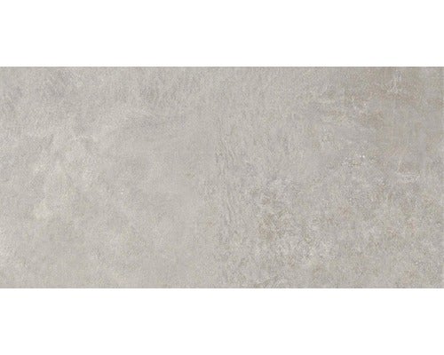 Feinsteinzeug Wand- und Bodenfliese Aspen grigio 30x60 cm