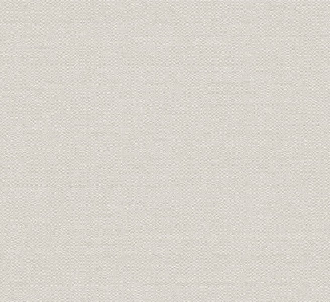 Nahaufnahme eines japanischen Ahorns mit grünen Blättern.